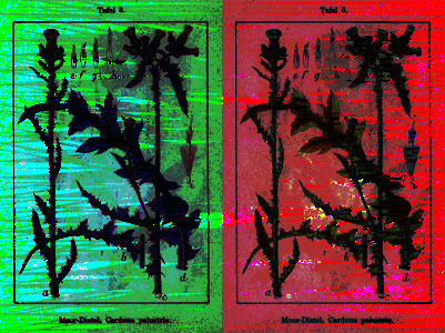 Dreher & Smart - Call Of Banganzwe Dreher & Smart - Call Of Banganzwe